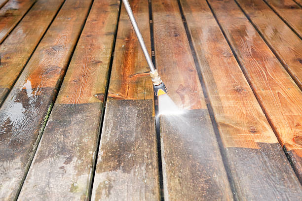 Best Driveway Pressure Washing  in East Lake Orient Park, FL